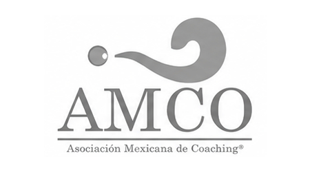 logo 6